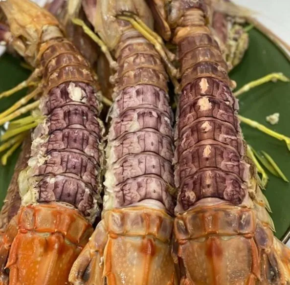Tôm tít thiên nhiên siêu to