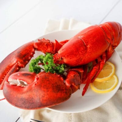 Tôm Hùm Alaska sống 500g/con