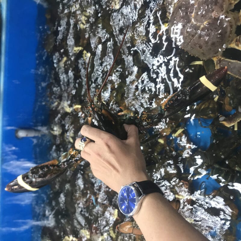 Tôm Hùm Alaska sống 500g/con